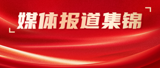 媒体聚焦 | 康姿百德专题报道（官方网络媒体合集篇）